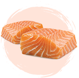 Salmon