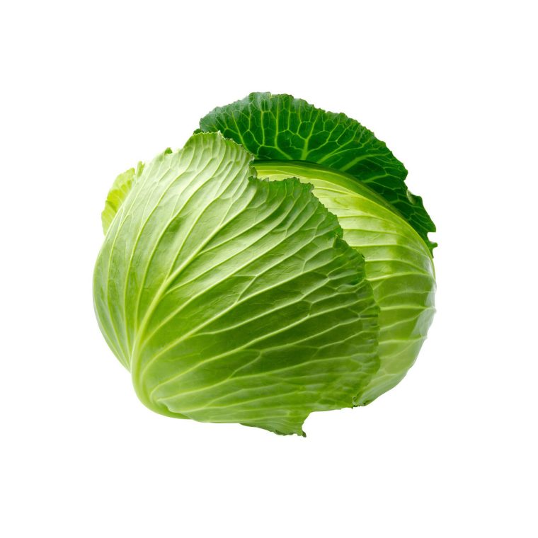 Green Cabbage