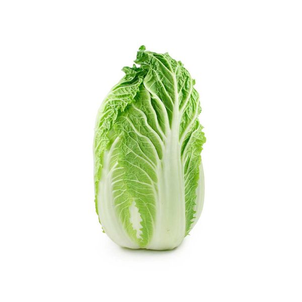 Napa Cabbage